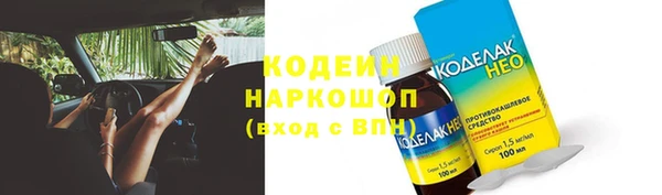 прущие грибы Балахна