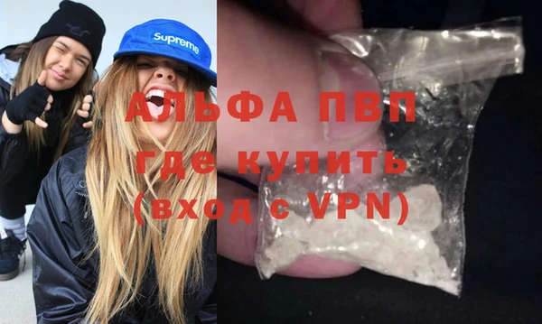 прущие грибы Балахна