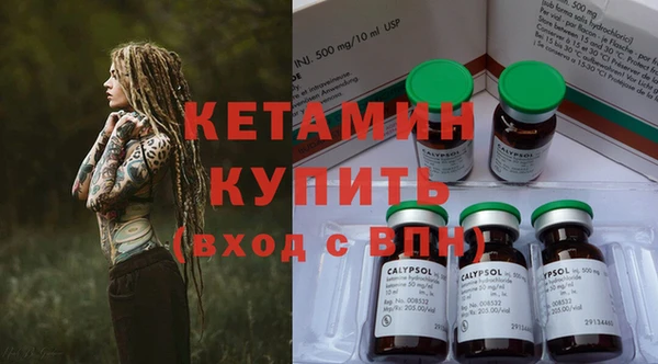 дживик Арсеньев