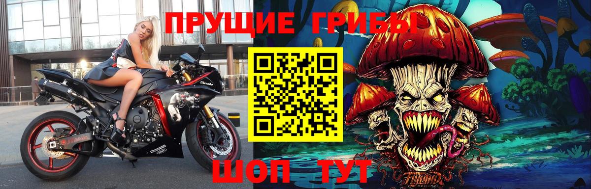 Галлюциногенные грибы MAGIC MUSHROOMS  Вход с VPN  Аша  Галлюциногенные грибы прущие грибы 